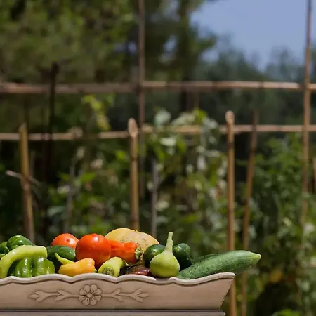 Aneli Luxury - Semeli *