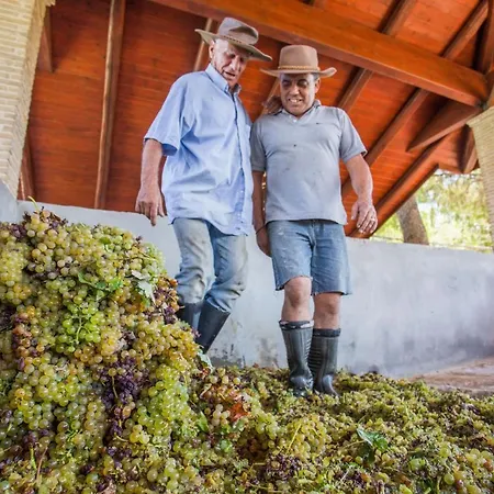 Aneli Luxury - Semeli *