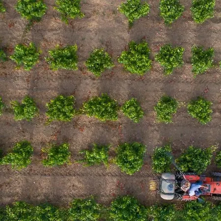 Aneli Luxury - Semeli